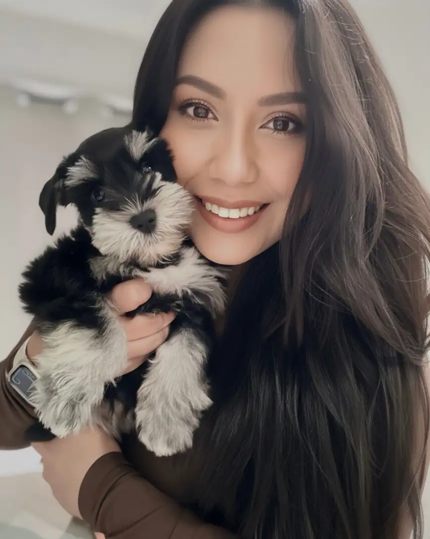 Rod Schnauzers Breeders